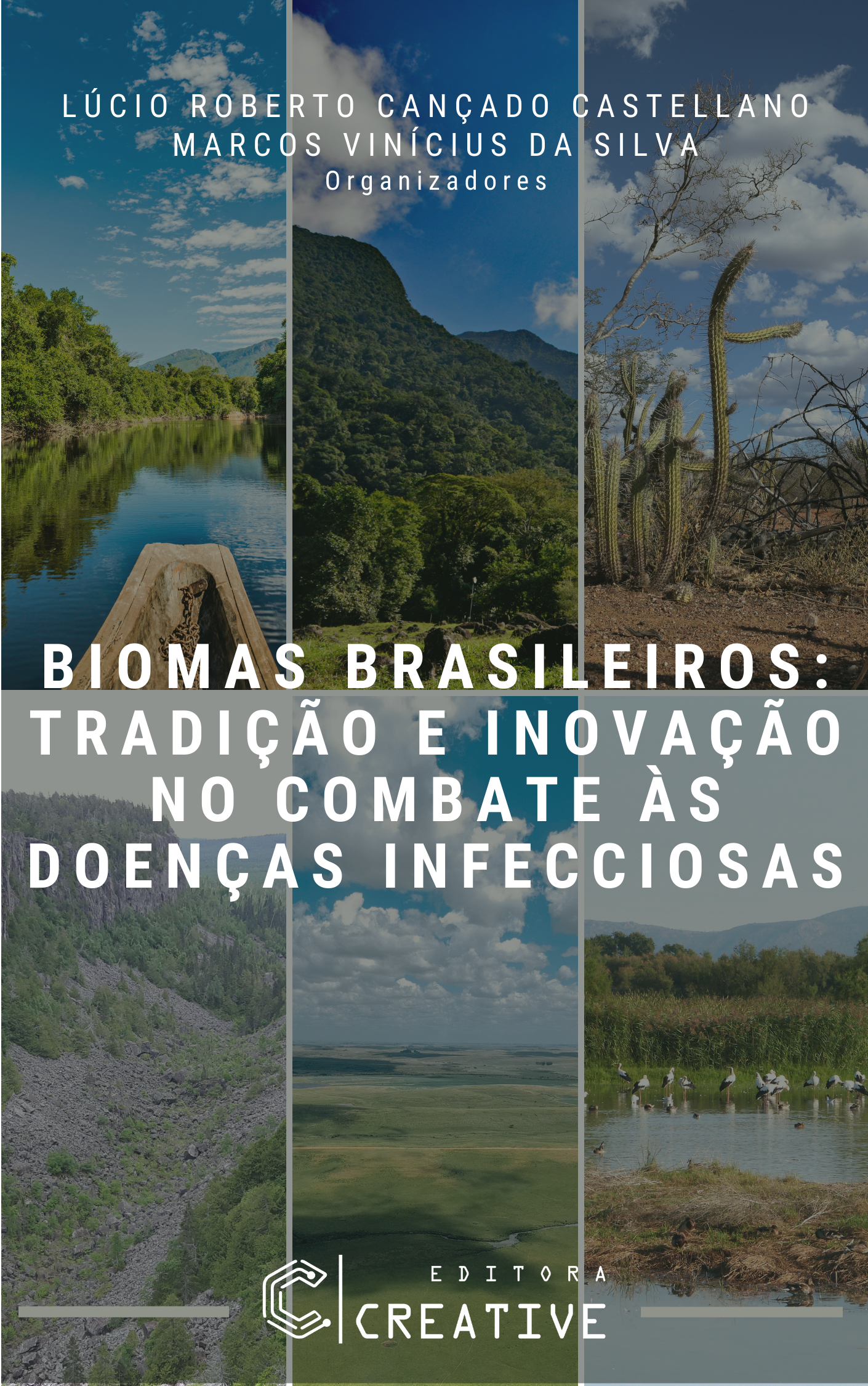 Livro Biomas1