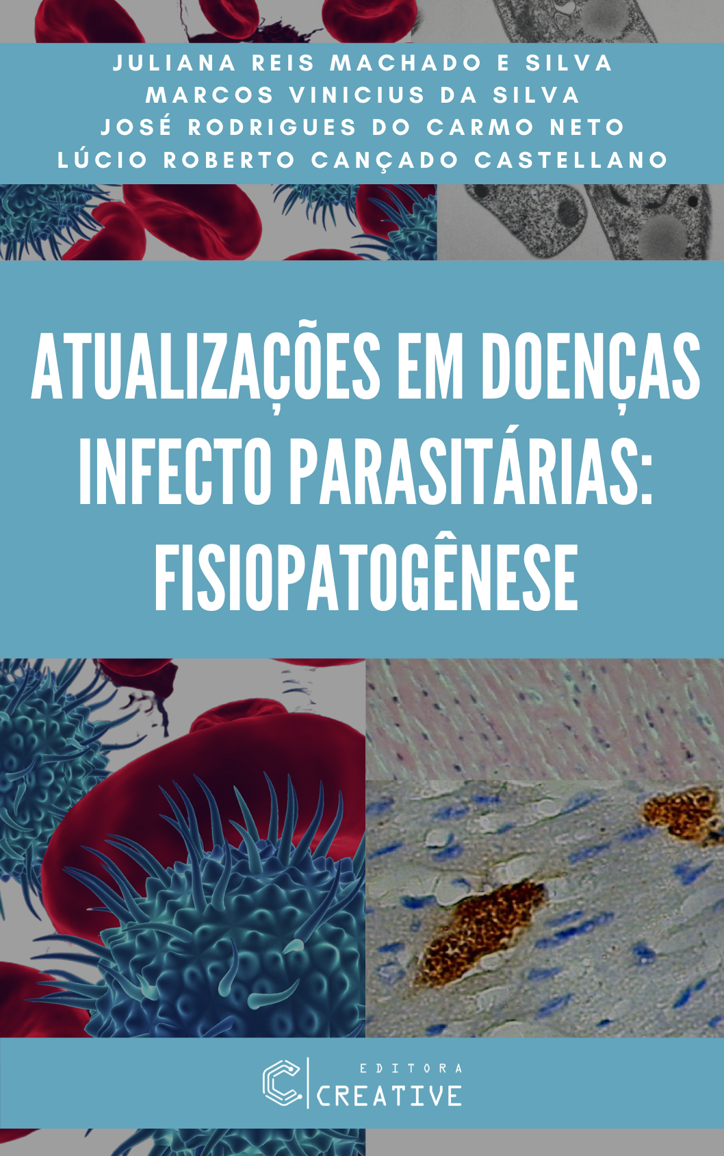 fisiopatdipcap09